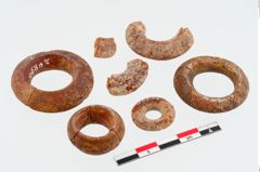 Foto von Bernsteinringperle (NHMW-PRAE-024890)